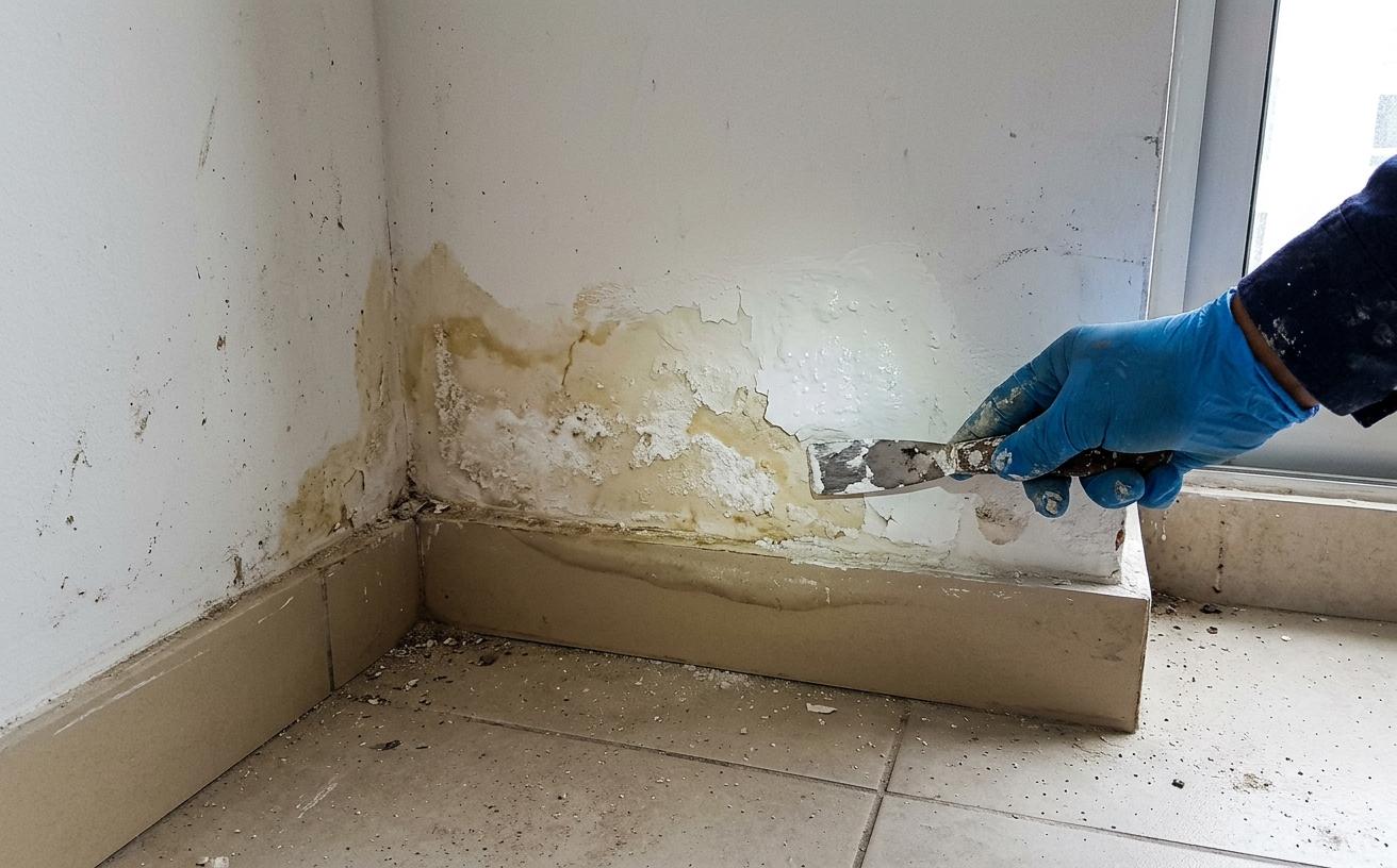 Humedad y filtraciones tapadas con pintura fresca